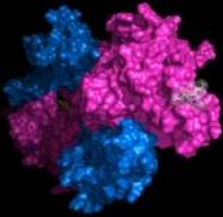 Egg meets sperm: The female side of the story