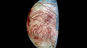 Europa's Hidden Ice Chemistry