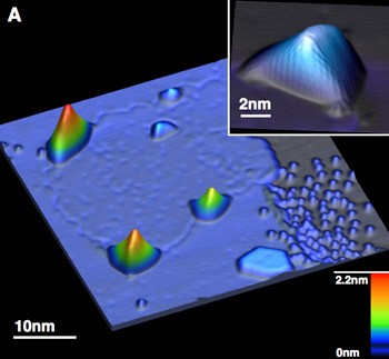 Scanning tunneling microscope image of a single layer of graphene on platinum wi