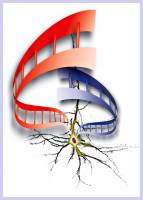 Mom's influence comes first