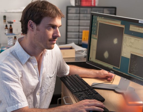 The work led by Gregor and Satoshi Sawai, a former postdoctoral fellow in the la