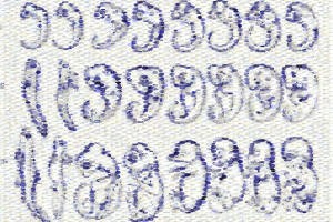 Nature cover by Pavel Tomancak