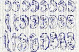 Scientists give insight into 200-year-old riddle