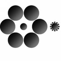 Seeing the world differently