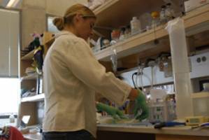 Stem Cell Myth Buster