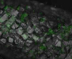 Tissue engineers create a new way to assemble artificial tissues