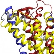 UK team reveals all three structures of a single transporter protein