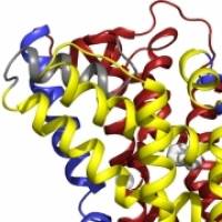 UK team reveals all three structures of a single transporter protein