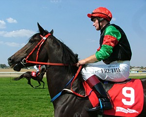 Osteoarthritis is a common problem in racing and other performance horses.