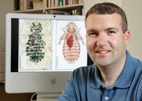 Did dinosaurs have lice Researchers say it's possible