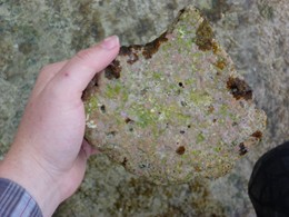Dolomite has been found inside 'reef building' algae.