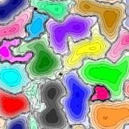 Understanding how organisms move and interact has implications far beyond behavi