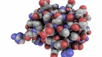 Long-Lived States to Monitor Protein Unfolding by Proton NMR