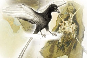The Confuciusornis sanctus is the oldest beaked bird ever found