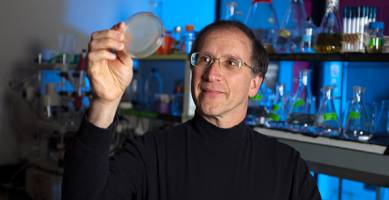 Scientists construct synthetic proteins that sustain life