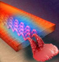 Vascular composites enable dynamic structural materials