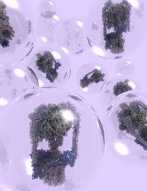 ATPase protected during its flight into a mass spectrometer by a detergent bubbl