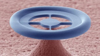 Electron microscopy image of the glass donut, which is smaller than the diameter