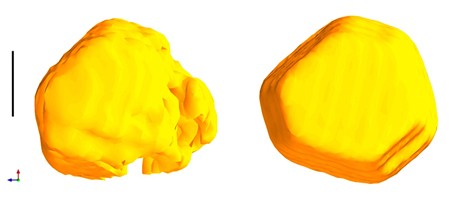 Shown on the left is the three dimensional image
of a gold nanocrystal obtained 