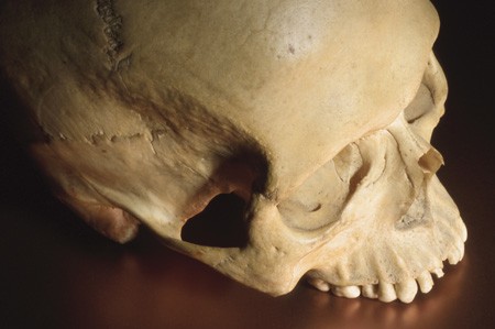 Crompton&rsquo;s findings show support for a previous study at Liverpool that sh