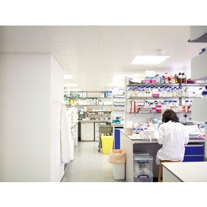 Laboratories at the UCL Institute of Child Health