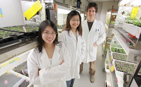 Gonzalo Estavillo (rear) with fellow researchers in the plant growth room. Photo