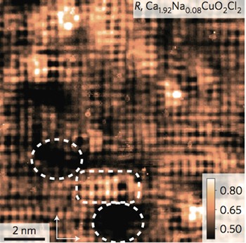 Scanning tunneling microscope image of a partially doped cuprate superconductor 
