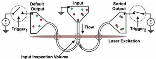 Nanofluidics sorts DNA one molecule at a time to study cancer-causing changes