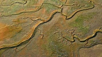 Natural river networks are essential for biodiversity