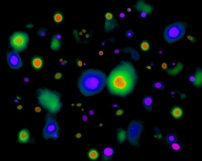 A random collection of textures taken from high-resolution, supercomputer  imula