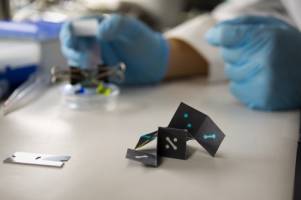 Origami-Inspired Paper Sensor Could Test for Malaria and HIV for Less than 10 Cents, Report Chemists