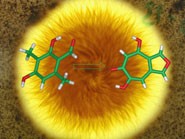 Members of this class of compound are well known as having antibacterial propert