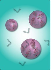 Shown are RNA strands (blue) and RNA enzymes (red) coming together within drople