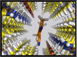 Top view: Imaging agent&rsquo;s chemical composition