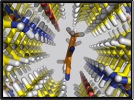 Scientists fine-tune probe for early Alzheimer's detection