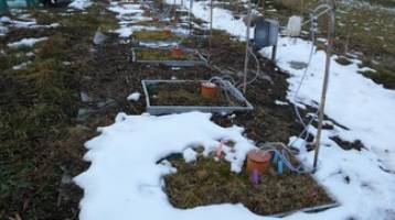 Under a warm blanket of snow