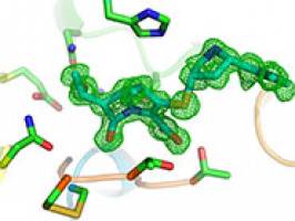 Understanding antibiotic resistance using crystallography and computation