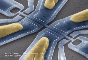 Weighing Molecules One at a Time