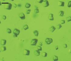 A Dual Look at Photosystem II Using the World's Most Powerful X-Ray Laser