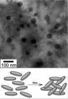 Before cells, biochemicals may have combined in clay