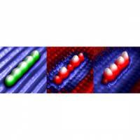 Building quantum states with individual silicon atoms