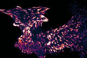 Cell movement explained by molecular recycling