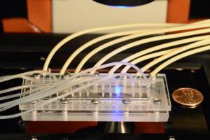 Device mimics cancer cell environment