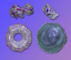 Models from Big Molecules Captured in a Flash