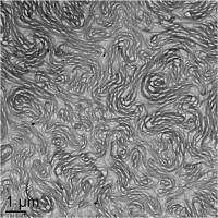 New device could cut costs on household products, pharmaceuticals