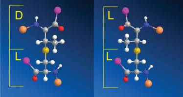 Odd biochemistry yields lethal bacterial protein