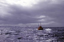 Fishing vessel in the Pentland Firth
