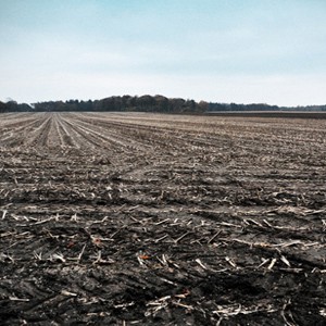 desolate field (credit:�ubikcorp/mobypicture)