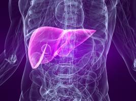 Predicting liver injury in paracetamol overdose patients