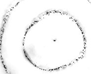 Our research has shown we can grip and move particles pretty much anywhere and a